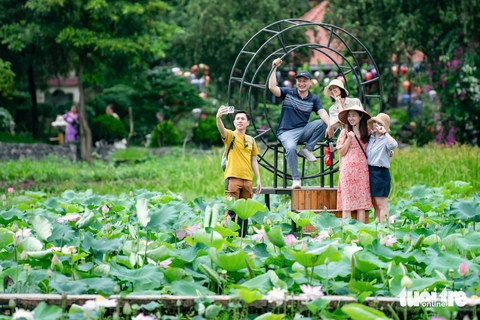 Cầm 100.000 đồng săn ảnh đã đời ở đầm sen đẹp nhất Ninh Bình - Ảnh 5. ninh bình - Ảnh 5.