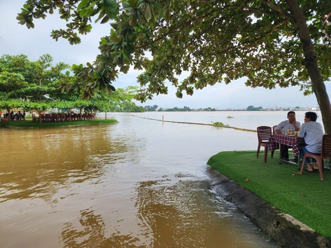 Đồng Nai yêu cầu xử lý 4 vụ vi phạm về đất đai còn tồn đọng, kéo dài nhiều năm - Ảnh 1.