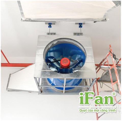 iFan - Ảnh 1.
