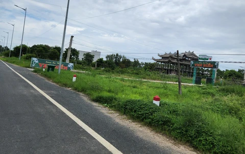 xẻ thịt đất rừng phòng hộ - Ảnh 1.