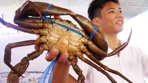 cua Cà Mau - Ảnh 1.