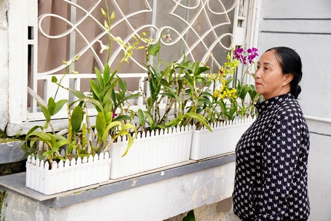 kênh Đôi - Ảnh 2.