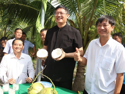 Nguyên Tổng lãnh sự Trung Quốc tại TP.HCM: Để quả 'sầu riêng' thành trái 'vui chung' - Ảnh 6. Nguyên Tổng lãnh sự Trung Quốc tại TP.HCM: Để quả 'sầu riêng' thành trái 'vui chung' - Ảnh 4.