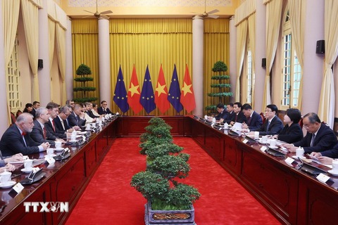Chủ tịch nước Lương Cường  - Ảnh 3.