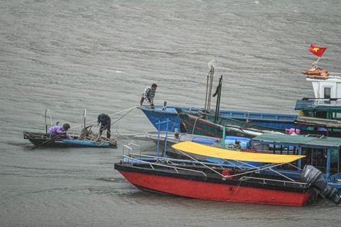 Thời tiết hôm nay 10-6: Bắc Biển Đông áp thấp, Bắc Bộ, Nam Bộ mưa to - Ảnh 1.