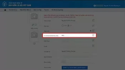 bảo hiểm xã hội - Ảnh 8.