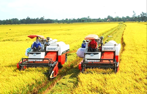 Tổng điều tra nông thôn, nông nghiệp toàn quốc - Ảnh 1.