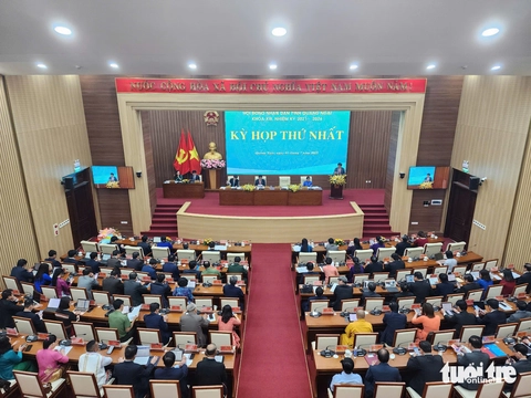 Quảng Ngãi - Ảnh 3.
