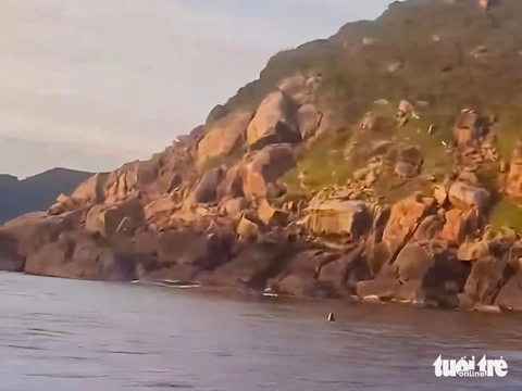 cá voi - Ảnh 6.