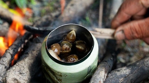 chú ngỗng - Ảnh 9.