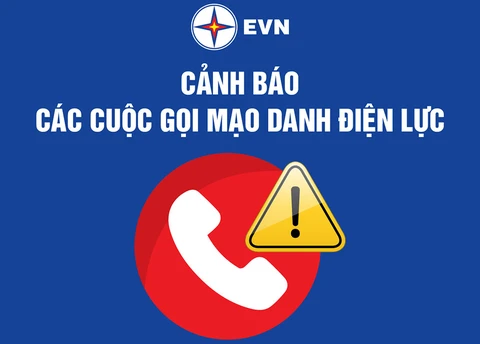 điện lực - Ảnh 1.