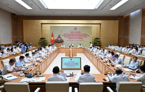 đất đai - Ảnh 1.
