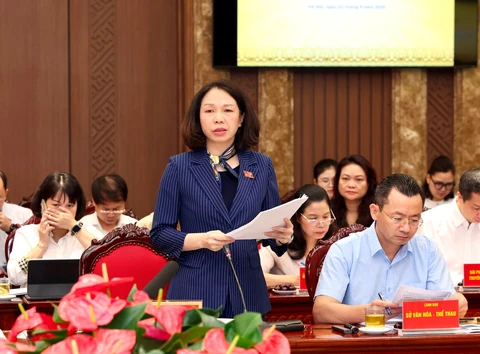 diễu binh - Ảnh 2.
