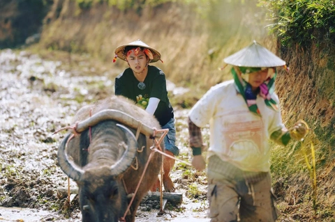 Gia đình Haha - Ảnh 5.