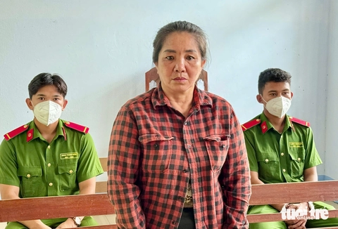 Tuyên phạt 'mẹ nuôi' 4 năm 6 tháng tù vì tạt nước sôi vào bé gái bán vé số - Ảnh 1.