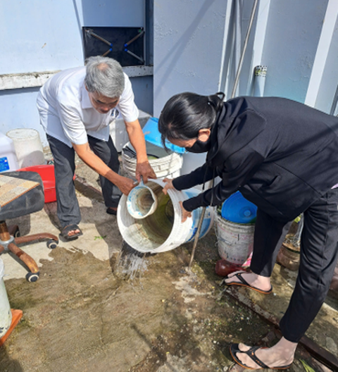 sốt xuất huyết - Ảnh 1.