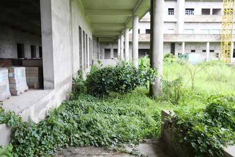 Cần Thơ - Ảnh 3.