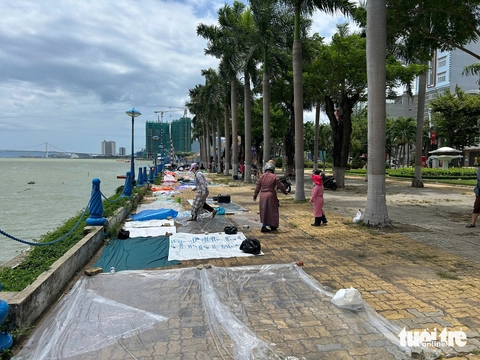pháo hoa - Ảnh 3. pháo hoa - Ảnh 3.