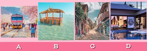 Quiz - Ảnh 1.