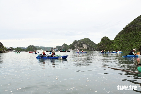 vớt rác - Ảnh 1.