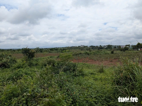 Xúc tiến sớm khởi công dự án khu đô thị 240ha gần sân bay Pleiku- Ảnh 3. Gia Lai - Ảnh 3.