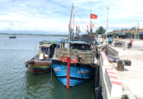 thuyền trưởng - Ảnh 1.
