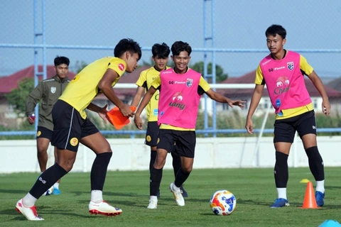 Đông Nam Á - Ảnh 1.