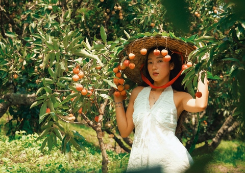 Chợ vải thiều ở Bắc Ninh 'gây sốt' nhờ bộ ảnh đẹp như phim trường - Ảnh 1.