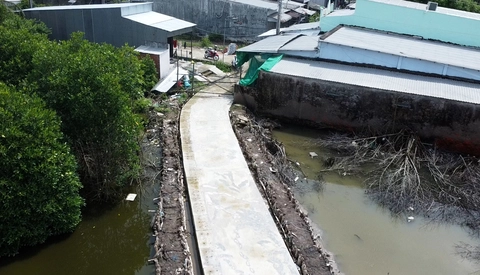 Cà Mau: Tranh chấp lối đi, đem cây rào đường - Ảnh 3.