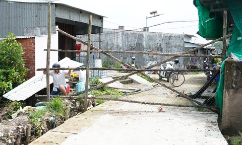 Cà Mau: Tranh chấp lối đi, đem cây rào đường - Ảnh 1.