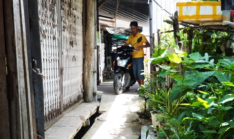 Cà Mau: Tranh chấp lối đi, đem cây rào đường - Ảnh 2.