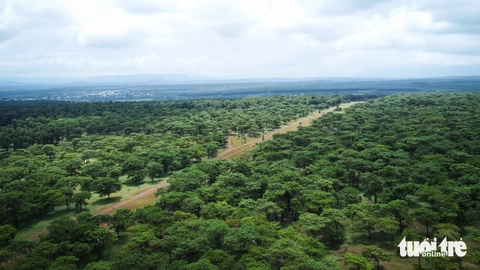 Dự án sân golf Đak Đoa sắp khởi động lại, hiện trạng ra sao?- Ảnh 1. Dự án sân golf Đak Đoa sắp khởi động lại, hiện trạng ra sao?- Ảnh 1.