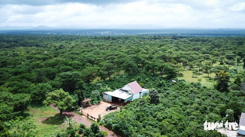 Dự án sân golf Đak Đoa sắp khởi động lại, hiện trạng ra sao?- Ảnh 5. Dự án sân golf Đak Đoa sắp khởi động lại, hiện trạng ra sao?- Ảnh 5.
