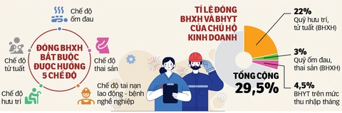 bảo hiểm xã hội - Ảnh 2.