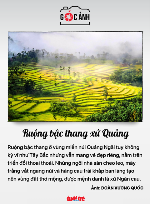 đặc xá - Ảnh 6.