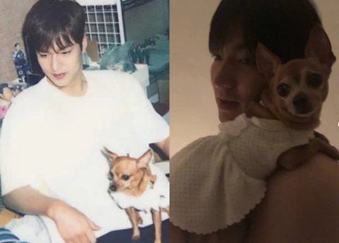 Lee Min Ho và tình yêu thương vô hạn dành cho chú cún vừa qua đời - Ảnh 1. Lee Min Ho - Ảnh 1.
