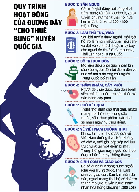 mang thai hộ - Ảnh 6.