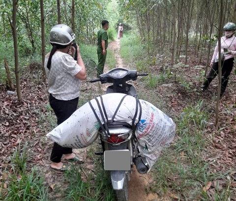 dịch tả heo châu phi - Ảnh 3.