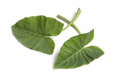 kháng insulin - Ảnh 1.