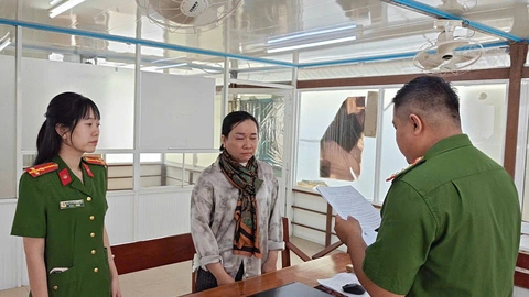 Bắt cựu cán bộ ngân hàng lừa đảo gần 4,3 tỉ đồng cho vay đáo hạn - Ảnh 1.