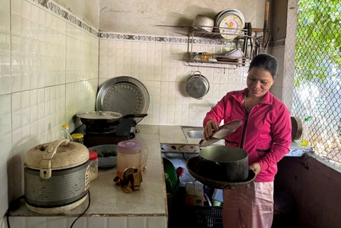 điện - Ảnh 1.