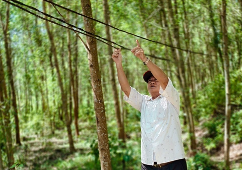 điện - Ảnh 6.