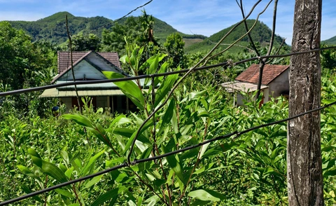 điện - Ảnh 2.