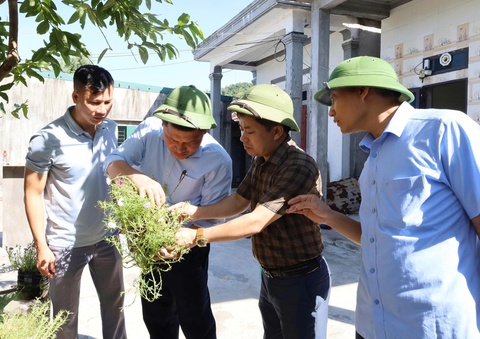 dịch sốt xuất huyết - Ảnh 2.
