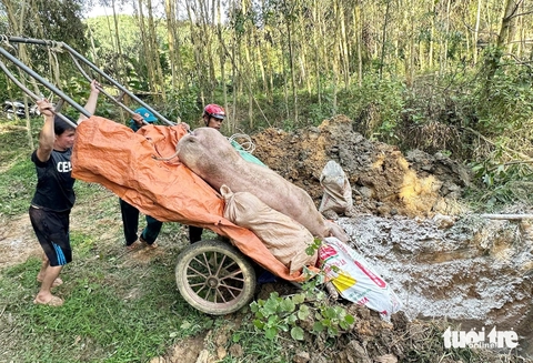 Nông dân trắng tay vì dịch tả heo châu Phi bùng phát - Ảnh 6.