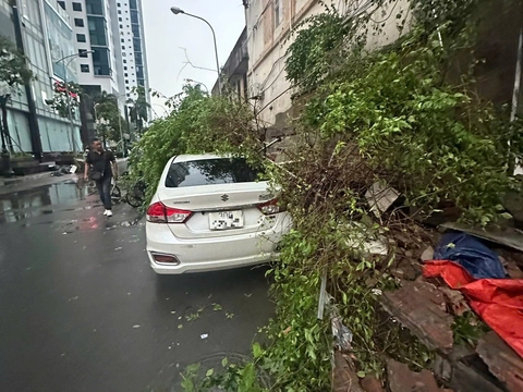 Hà Nội - Ảnh 2.