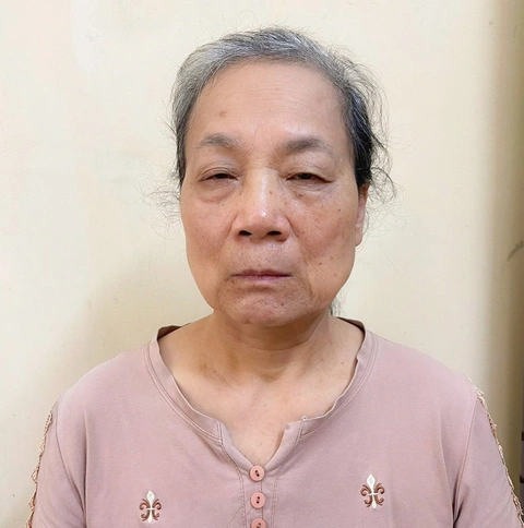 Khởi tố người livestream chửi bới tại tòa án ở Tuyên Quang - Ảnh 1.