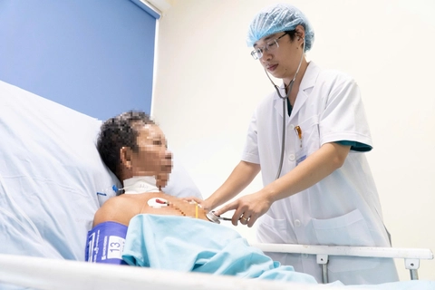 ong vò vẽ - Ảnh 1.