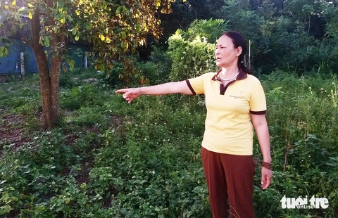 Nghệ An lý giải chuyện mất 4,5 tỉ đồng để chuyển 300m2 đất vườn sang đất ở - Ảnh 1.