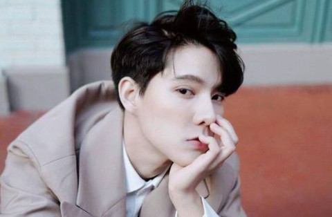 idol - Ảnh 1.